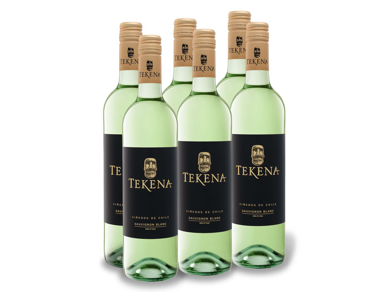 Gehe zu Vollbildansicht: 6 x 0,75-l-Flasche Weinpaket Tekena Sauvignon Blanc trocken, Weißwein - Bild 1