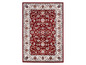 Roter Teppich mit traditionellem persischem Design.