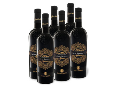 6 x 0,75-l-Flasche Weinpaket Duca di Sasseta Terre Siciliane IGT halbtrocken, Rotwein