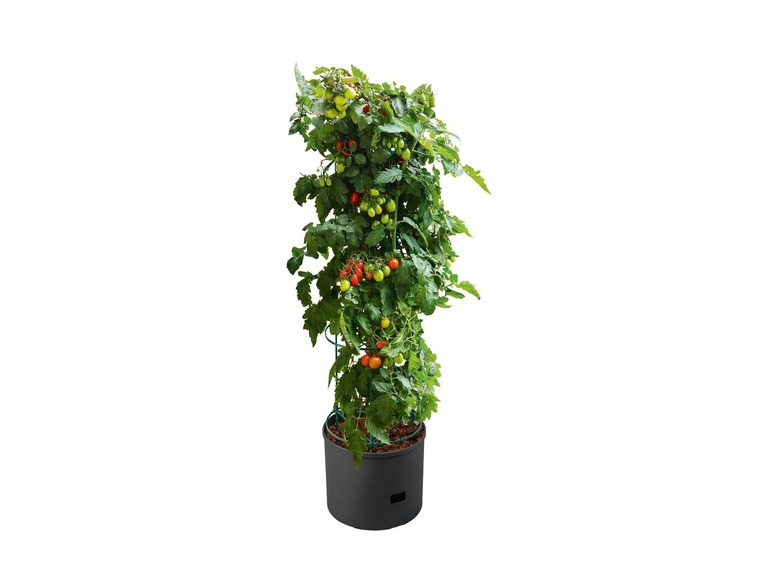 Gehe zu Vollbildansicht: PARKSIDE® Tomaten-Pflanzgefäß, 20 l Pflanzvolumen, mit Rankhilfe, witterungsbeständig - Bild 2