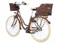 Braunes E-Bike mit Vorder- und Hinterkorb.