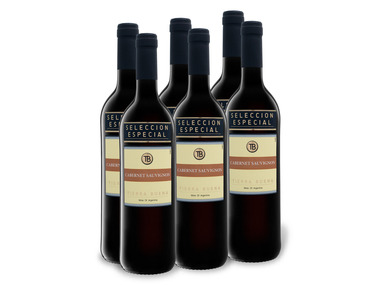 6 x 0,75-l-Flasche Weinpaket Tierra Buena Cabernet Sauvignon trocken, Rotwein