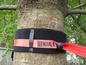 Ein rotes Ninja Band, das mit einer schwarzen Schutzhülle an einem Baum befestigt ist.