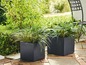 Zwei Pflanzen in quadratischen schwarzen Töpfen auf einer Terrasse.