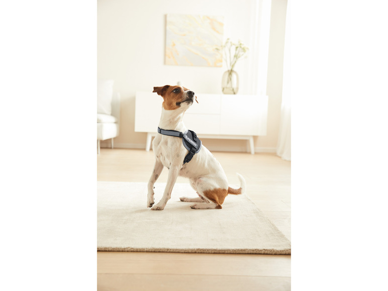 Gehe zu Vollbildansicht: ZOOFARI® Hundegeschirr mit weicher Fütterung, reflektierend - Bild 2