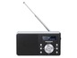 Ein silberfarbenes Grundig DAB+ Radio mit Teleskopantenne.