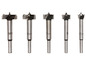 Satz von fünf Bohrer mit verschiedenen Durchmessern