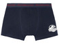 Dunkelblaue Boxershorts mit Jurassic Park Logo.
