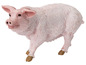 Eine rosafarbene Plastikspielzeugfigur eines Schweins.