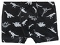 Schwarze Boxershorts mit Dinosaurier-Print.