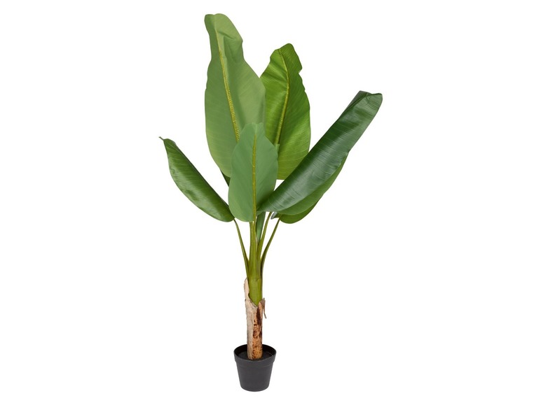 Gehe zu Vollbildansicht: MELINERA® Kunstpflanze, 120 cm Höhe, flexibel formbare Zweige - Bild 2