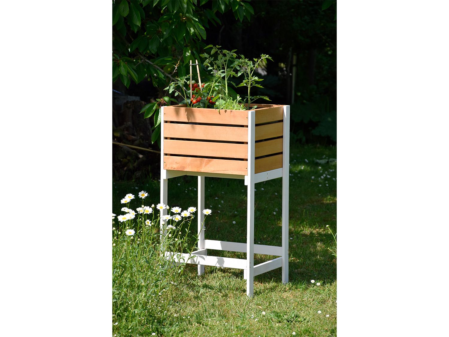 Thumbnail - dobar Hochbeet Obstkiste, 49x42x90 cm (Braun)