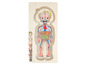 Holzpuzzle mit einer anatomischen Figur eines Jungen.