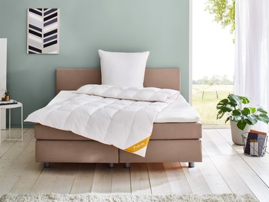 Balette deLuxe Gänsedaunen-Kassettenbettdecke Gold-Edition medium