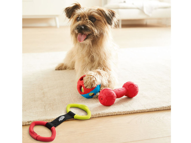 Gehe zu Vollbildansicht: Nerf Dog Hundespielzeug, robust und langlebig - Bild 5