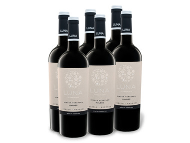 6 x 0,75-l-Flasche Weinpaket Luna de Finca la Anita Malbec Mendoza trocken, Rotwein