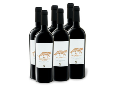 6 x 0,75-l-Flasche Weinpaket VIAJERO Valle del Rapel Carménère Gran Reserva trocken, Rotwein