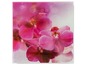 Glasbildrahmen mit rosa Orchideen, Marke SilverCrest.
