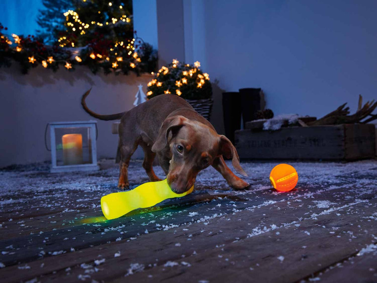 Gehe zu Vollbildansicht: ZOOFARI® Leuchtsortierung Hund, inklusive USB-Kabel - Bild 2