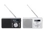Zwei silberne Grundig DAB+ Radios mit Teleskopantennen.