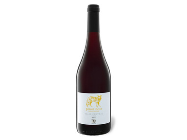 VIAJERO Pinot Noir Reserva Privada Chile trocken, Rotwein 2020