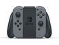 Eine graue Nintendo Switch Konsole mit Joy-Con Controllern.