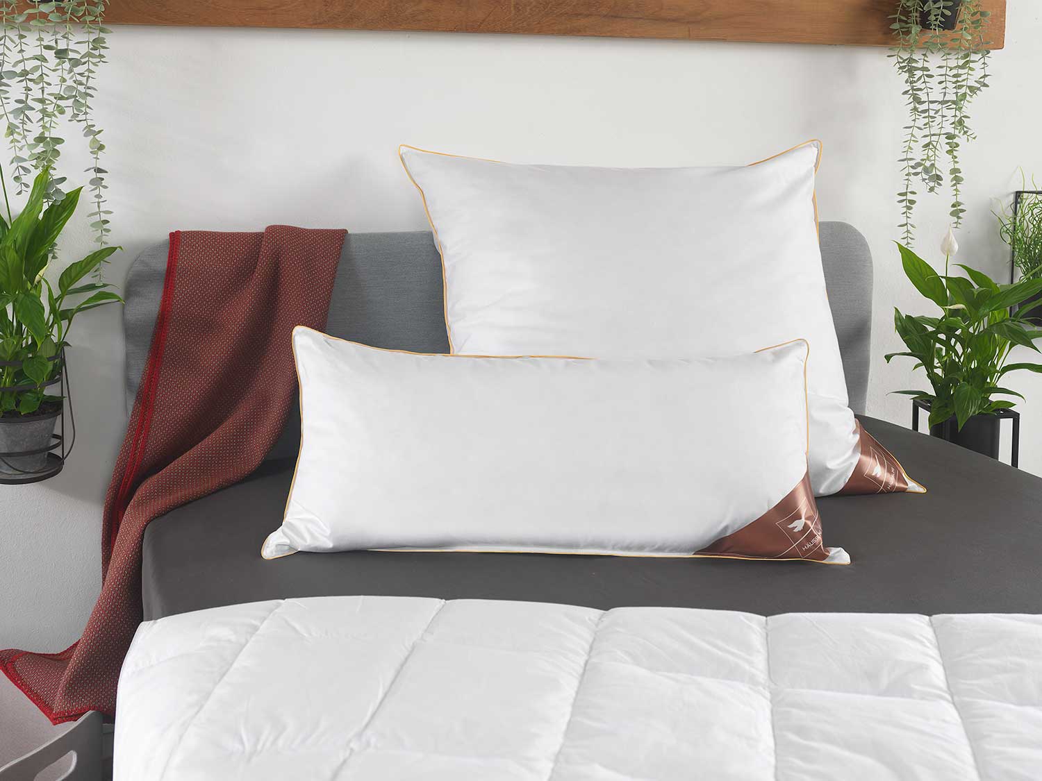 HÄUSSLING Royal Kopfkissen mit Federn & Daunen