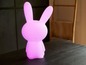 Eine rosa Hasen-Lampe auf einem Tisch.