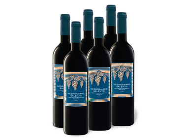 6 x 0,75-l-Flasche Weinpaket Negroamaro Salento IGP trocken, Rotwein