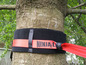 Eine rote Ninja Line Slackline mit schwarzem Schutz um einen Baum.