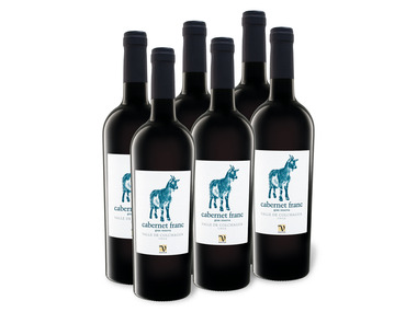 6 x 0,75-l-Flasche Weinpaket VIAJERO Cabernet Franc Gran Reserva Valle de Colchagua trocken, Rotwein
