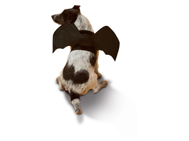 Gehe zu Vollbildansicht: Hundekostüm, mit Klettverschluss - Bild 9