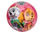 Ein rosa Paw Patrol Ball mit Skye und Everest.