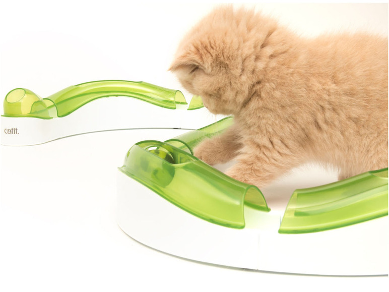 Ein Kätzchen spielt mit einer grünen Catit-Spielbahn.