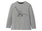 Ein graues Langarmshirt mit einem Dinosaurier-Druck.