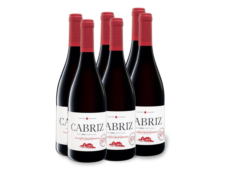 6 x 0,75-l-Flasche Weinpaket Cabriz Colheita Selecionada Portugal Dão DOC trocken , Rotwein