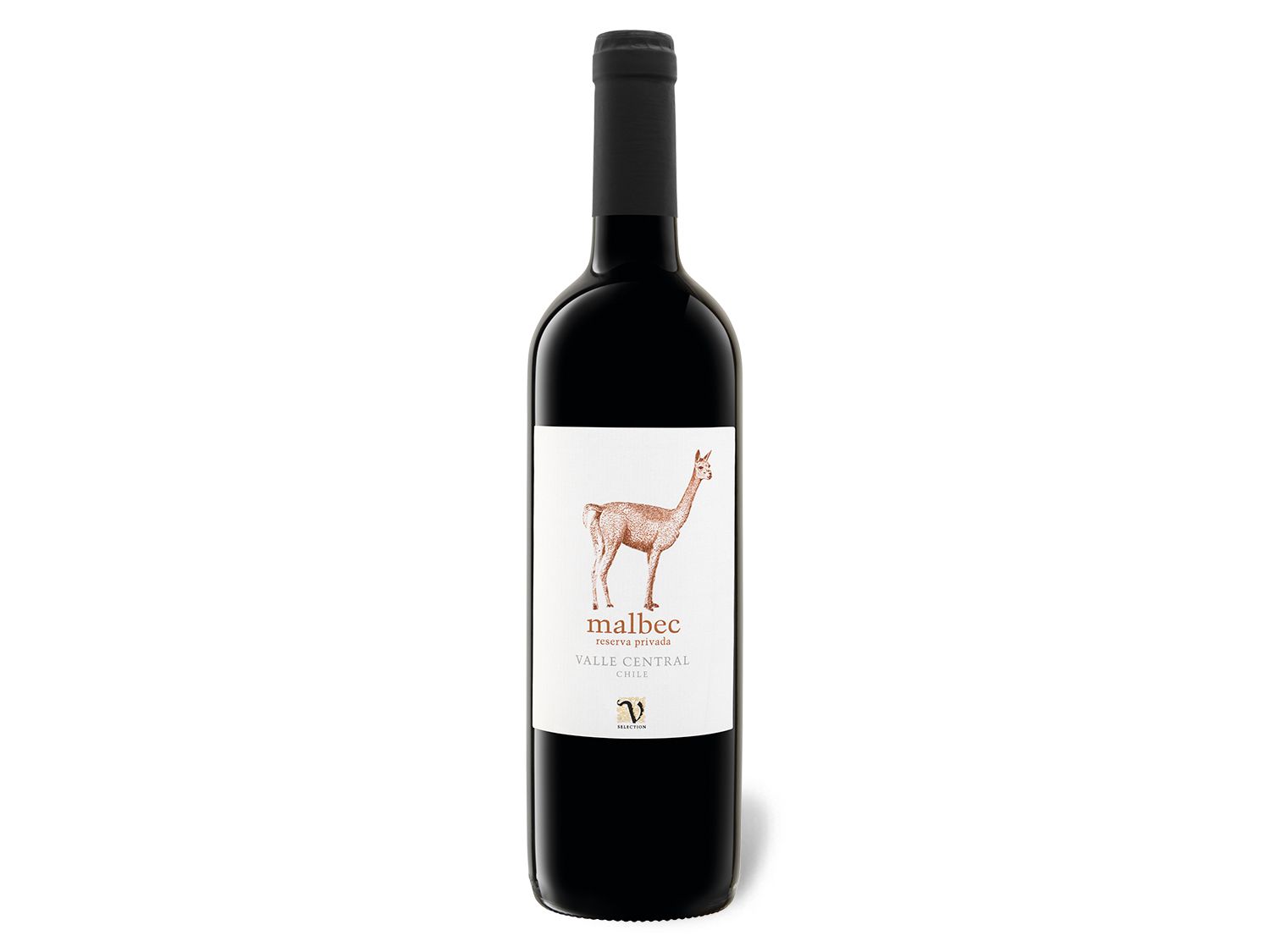 VIAJERO Malbec Reserva Privada Valle Central Chile trocken, Rotwein 2020 Wein & Spirituosen Lidl DE