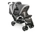 Ein Chic4Baby Zwillingskinderwagen in Grau.