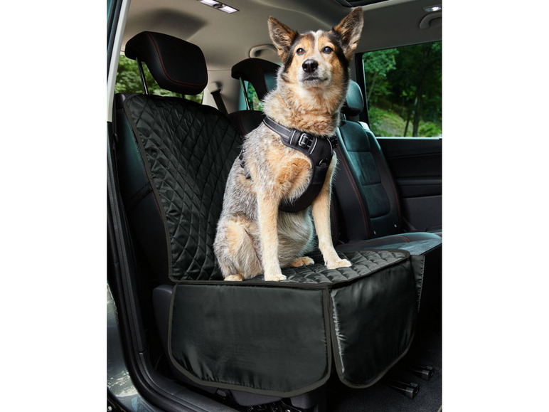 Gehe zu Vollbildansicht: Zoofari Autositz / Autodecke für Hunde, aus Polyester - Bild 4