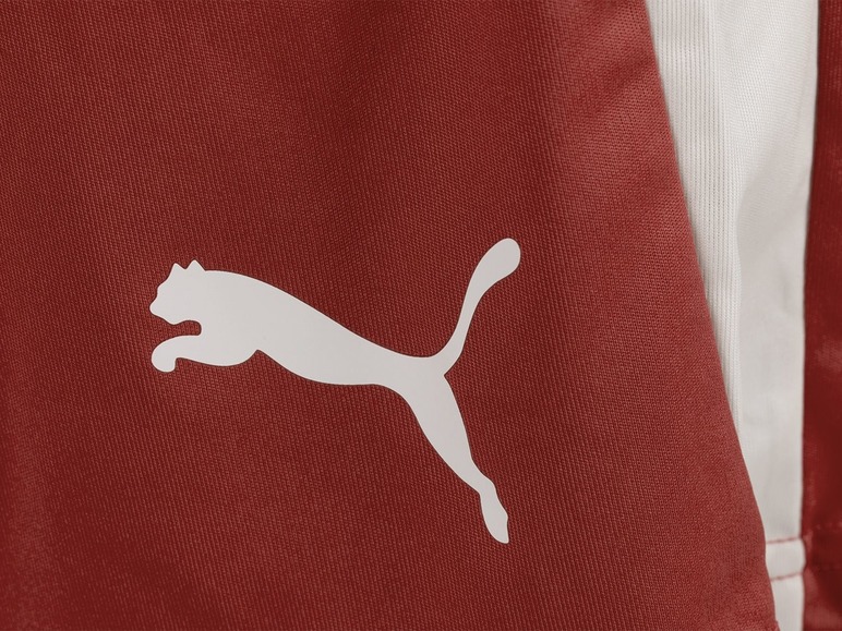 Gehe zu Vollbildansicht: Puma Herren Funktionsshorts LIGA - Bild 4