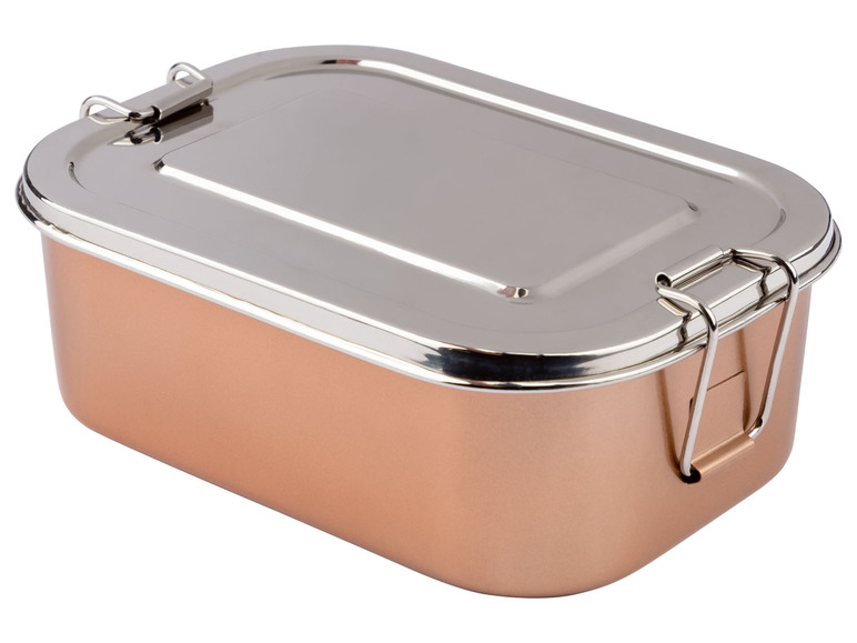 Eine rechteckige Edelstahl-Lunchbox mit einem Klappdeckel.