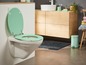 Ein Badezimmer mit einer Toilette, einem mintgrünen Abfalleimer und einer Fußmatte.
