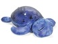 Blaue Plüschschildkröte mit Sternenlichtprojektor.