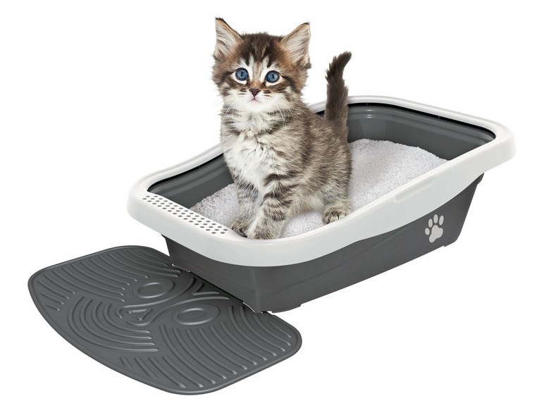 Ein Kätzchen in einer grauen Katzentoilette mit einer grauen Matte.