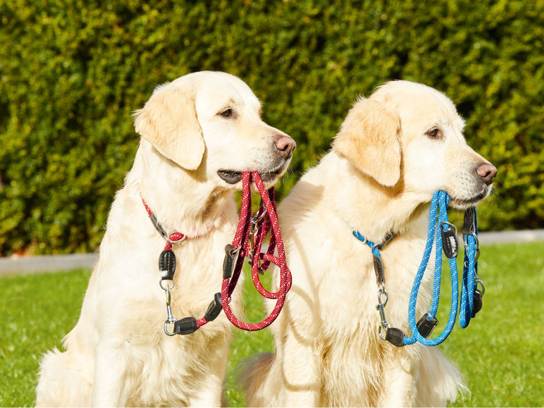 Gehe zu Vollbildansicht: ZOOFARI® Hundeleine, längenverstellbar, mit Zug-Stopp-Halsband, für Hunde bis 35 kg - Bild 2