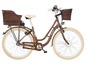 Ein braunes Fischer E-Bike mit zwei Körben.