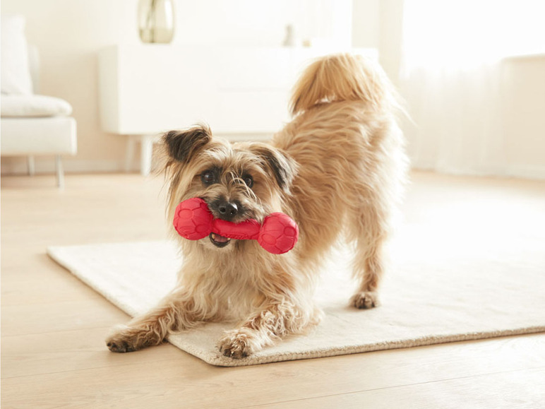 Gehe zu Vollbildansicht: Nerf Dog Hundespielzeug, robust und langlebig - Bild 4