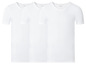 Drei weiße V-Neck T-Shirts von Livergy.