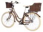 Ein braunes Fischer E-Bike mit zwei Körben.