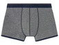 Graue Boxershorts mit einem blauen Bund.